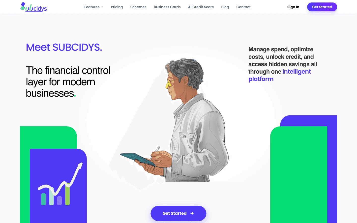 Subcidys official website screenshot
