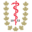 CAOMS logo